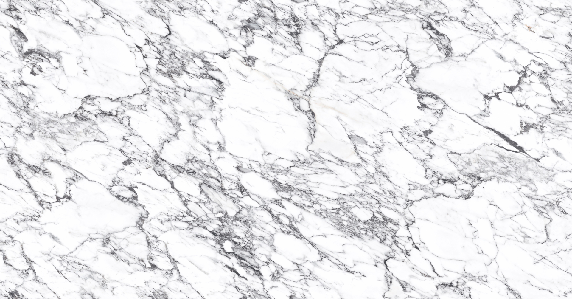 Product Moscato Noir (P)